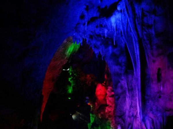 探索跪姿仰卧起坐的正确做法视频?,发现知识星球的魅力