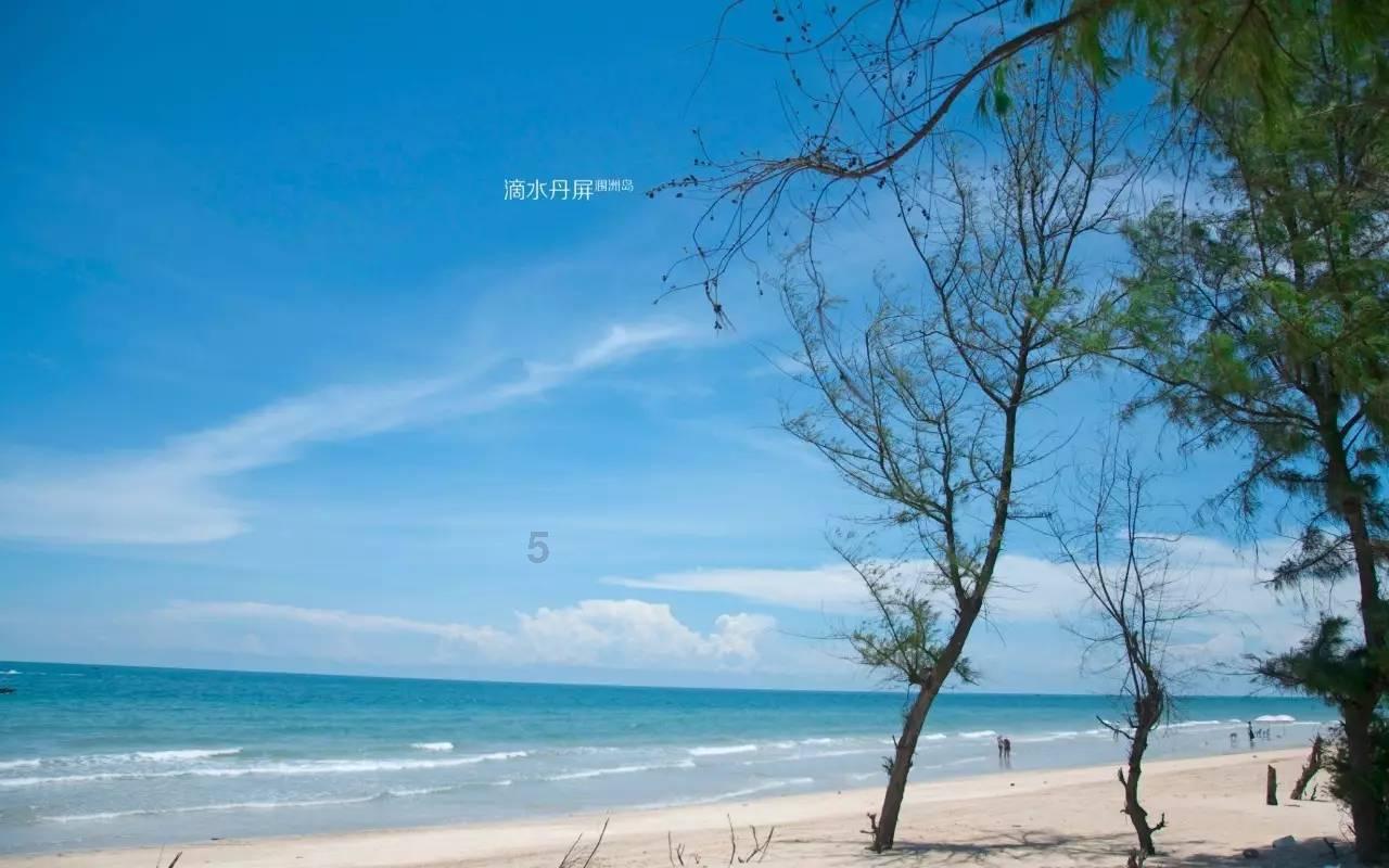 三亚沙滩现多起僧帽水母伤人事件,当地回应:无游客中毒