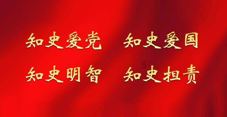 Rice Lake 380 Synergy系列数字重量指示器