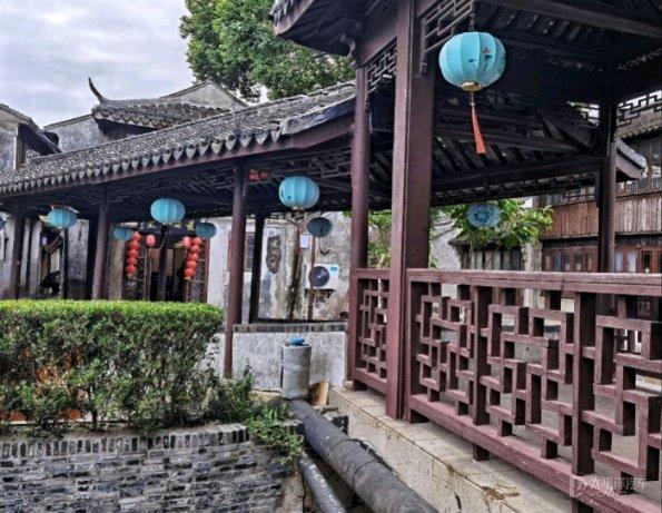 拯救穆尔小马